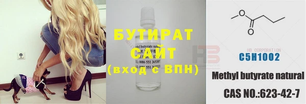 гашик Алексин