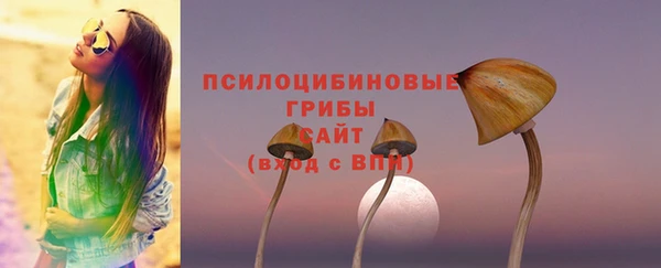 прущая мука Нея