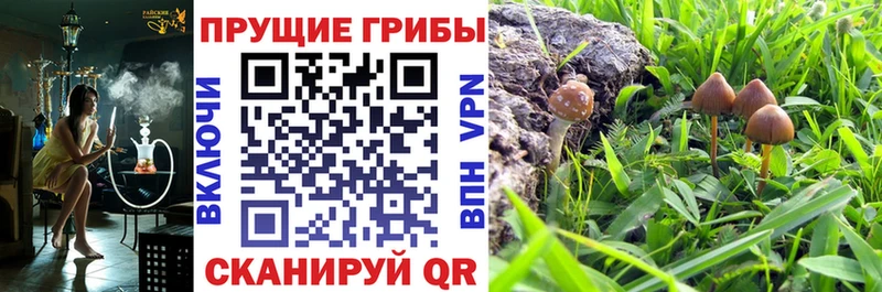 Галлюциногенные грибы мицелий  мега ТОР  Тольятти  закладка 